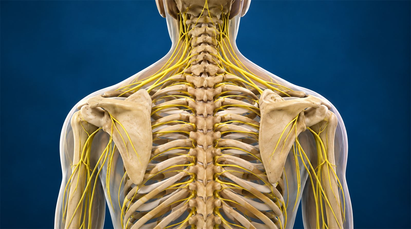 Suprascapular Nerve Pulsed Radiofrequency and Block
